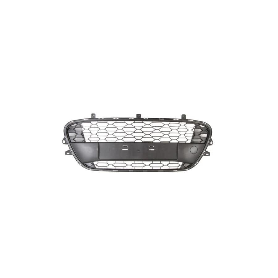 Blic 6502-07-0531910P Bumper Grill For Citroen C3