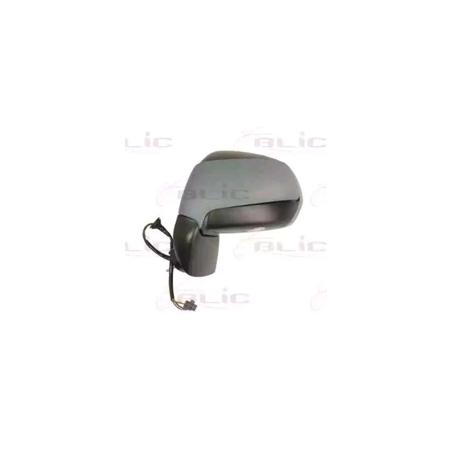 Blic 5402-21-037369P Wing Mirror For Citroen C3 Picasso