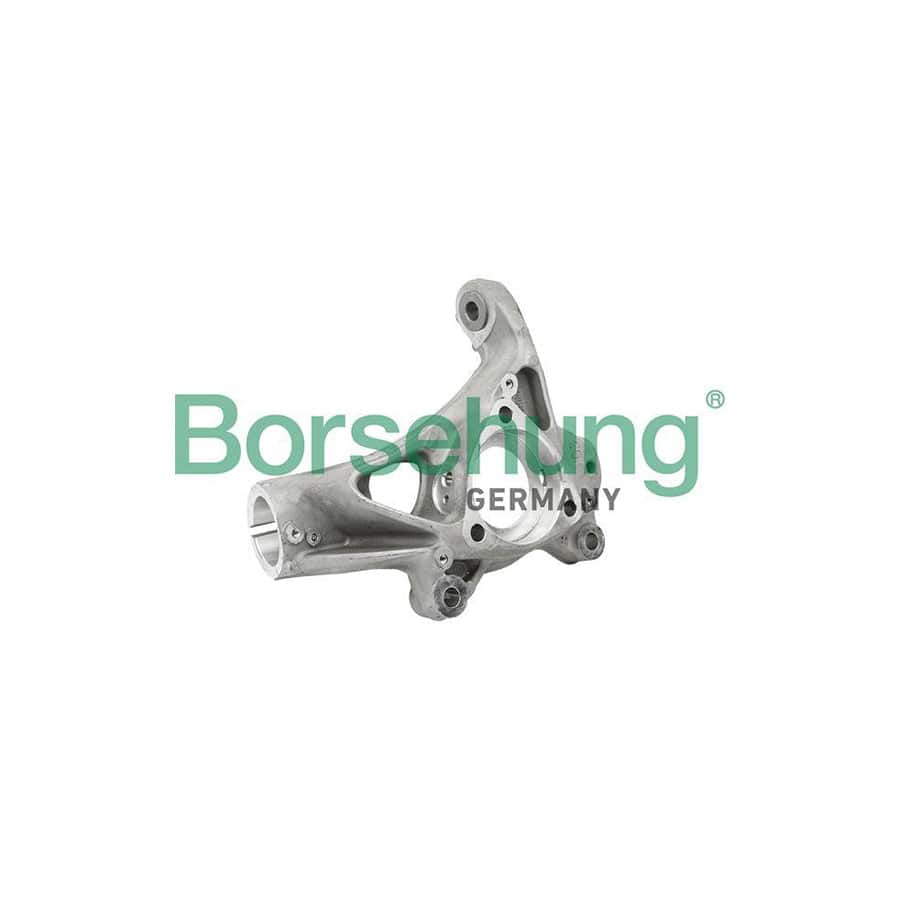 Borsehung B18510 Steering Knuckle