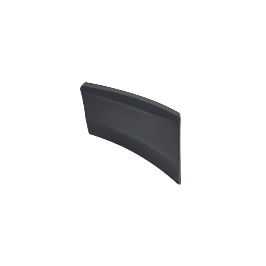 Blic 5703-08-9564376P Trim / Protective Strip, Mudguard