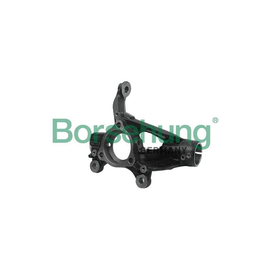 Borsehung B18509 Steering Knuckle
