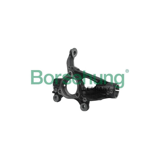 Borsehung B18509 Steering Knuckle