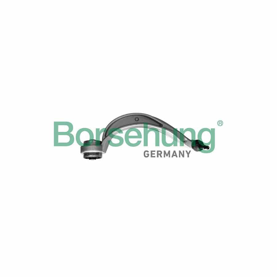 Borsehung B10840 Suspension Arm