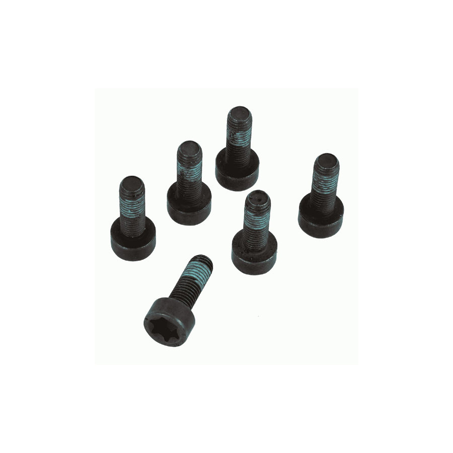 Sachs 1874 000 047 Screw Set, Flywheel