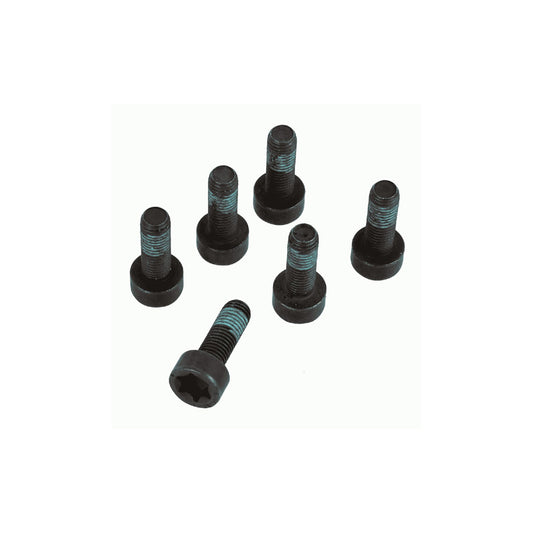 Sachs 1874 000 047 Screw Set, Flywheel