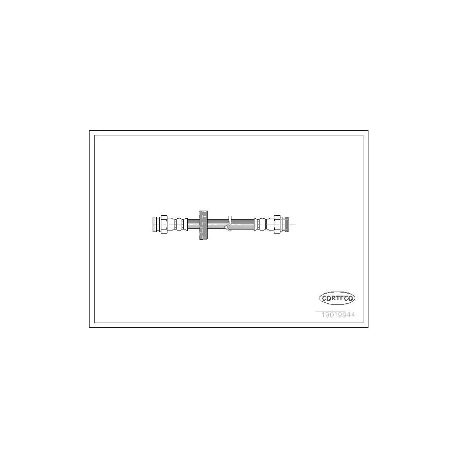 Corteco 19019944 Brake Hose | ML Performance UK