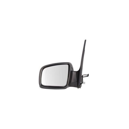 Blic 5402-02-2001829P Wing Mirror