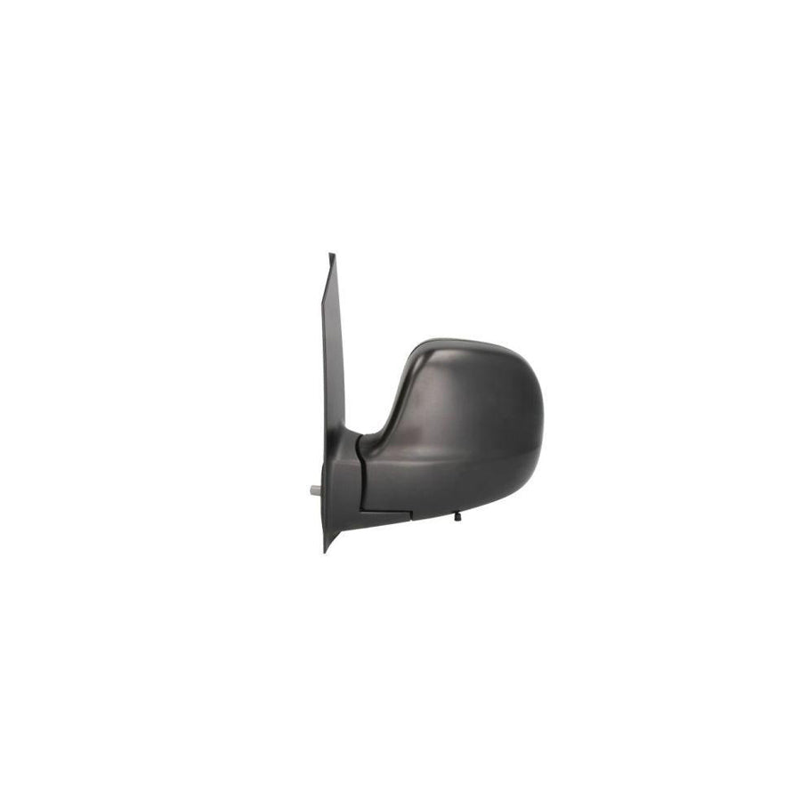 Blic 5402-02-2001827P Wing Mirror