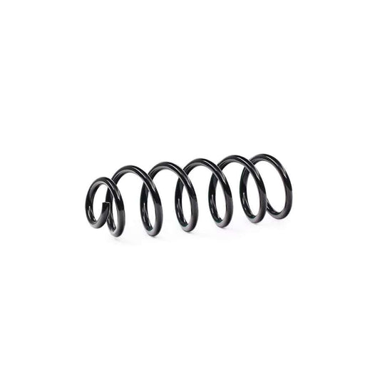 KYB Ra5199 Coil Spring For Renault Sandero / Stepway Ii (B8_)