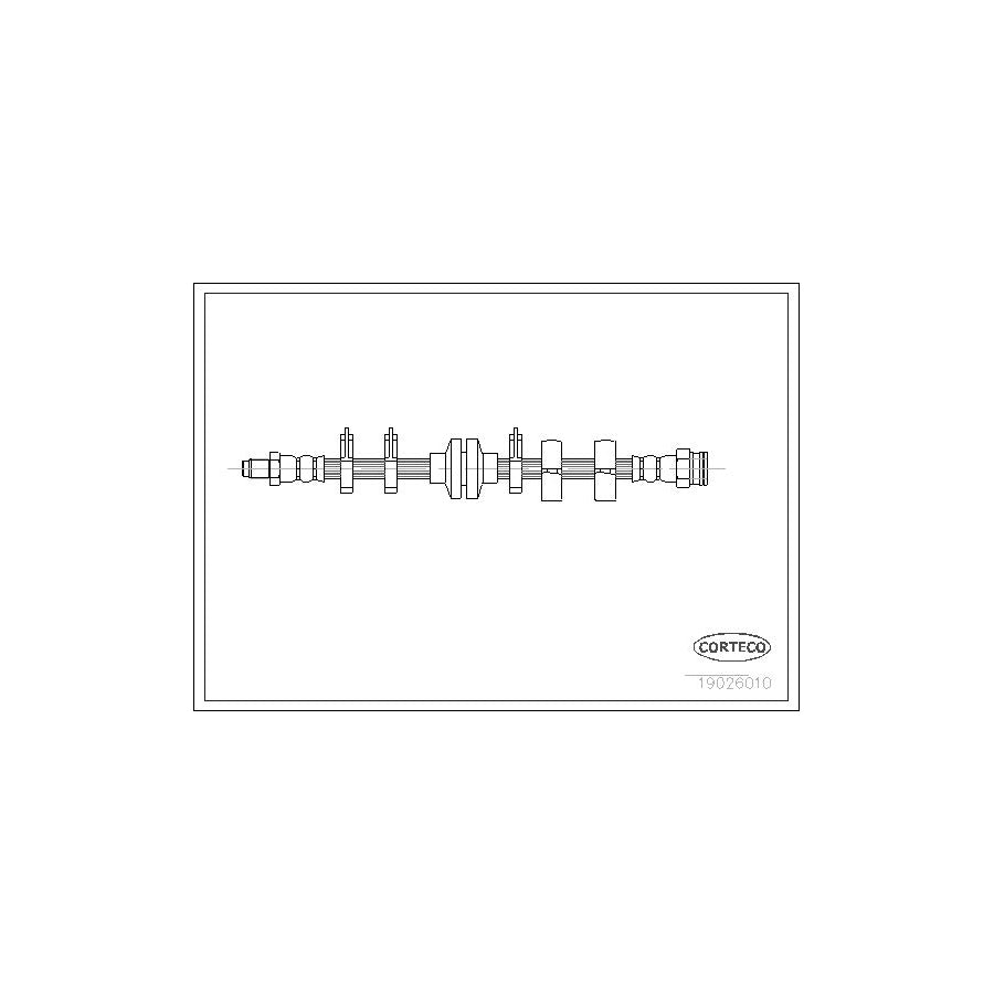 Corteco 19026010 Brake Hose | ML Performance UK