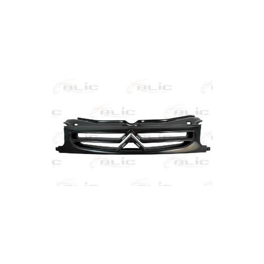 Blic 6502-07-0550993P Radiator Grille For Citroen Berlingo