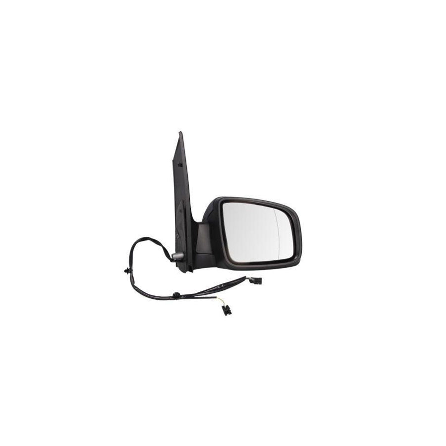Blic 5402-02-2001836P Wing Mirror