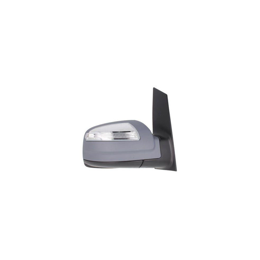 Blic 5402-02-2001834P Wing Mirror