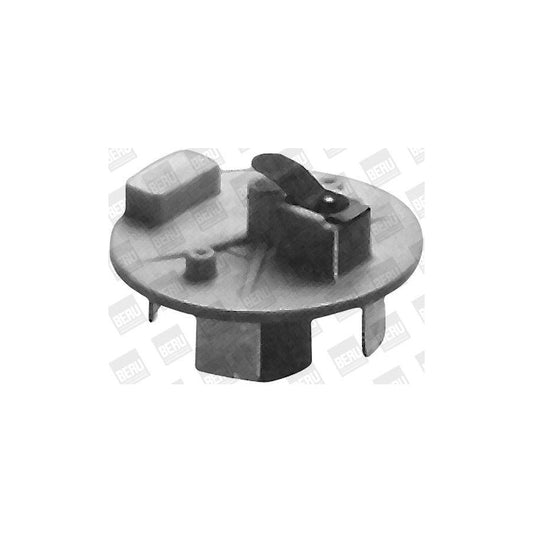 Beru NVL194 Distributor Rotor