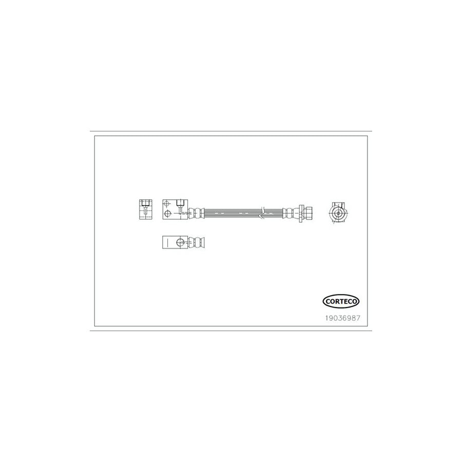 Corteco 19036987 Brake Hose | ML Performance UK