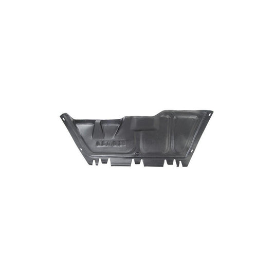 Blic 6601-02-0015860P Skid Plate