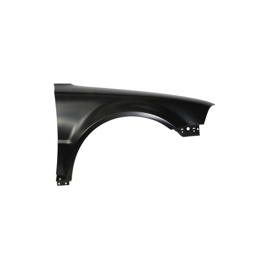 Blic 6504-04-9539316P Wing Fender For VW Passat