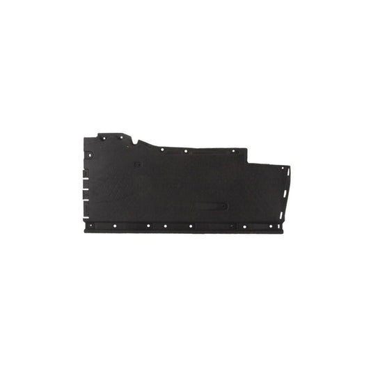 Blic 6601-02-0032983P Engine Cover For Audi A6