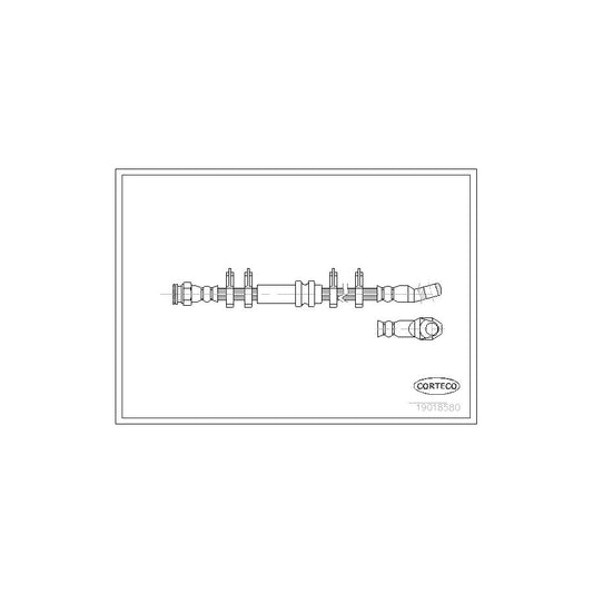 Corteco 19018580 Brake Hose | ML Performance UK