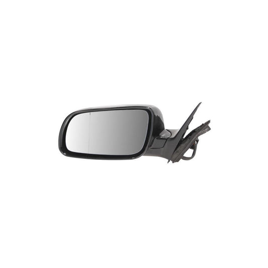 Blic 5402-04-1125797 Wing Mirror