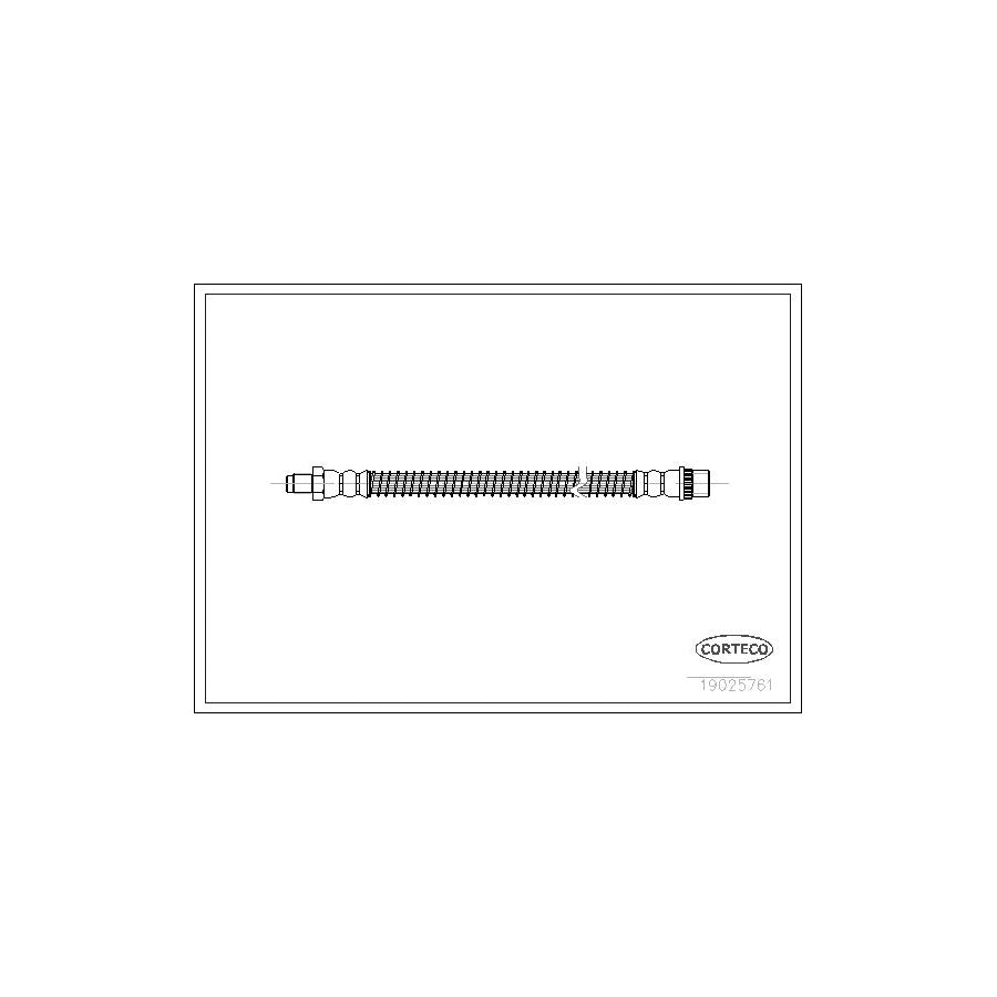 Corteco 19025761 Brake Hose | ML Performance UK