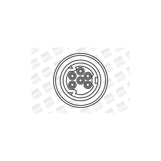 Beru ZS307 Ignition Coil