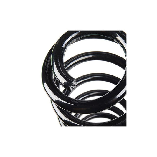KYB Ra6187 Coil Spring