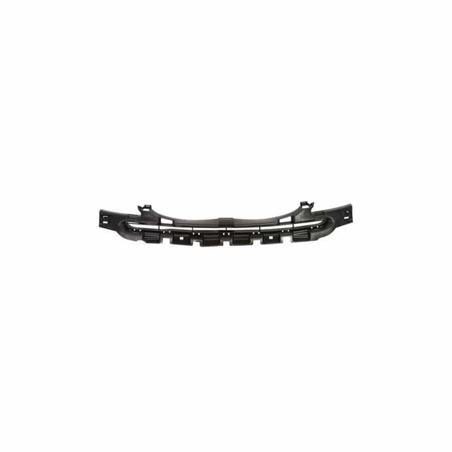Blic 6502-03-0519203P Bumper Grill For Citroen C3 I Hatchback (Fc, Fn)