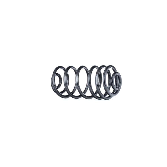 KYB Ra6232 Coil Spring