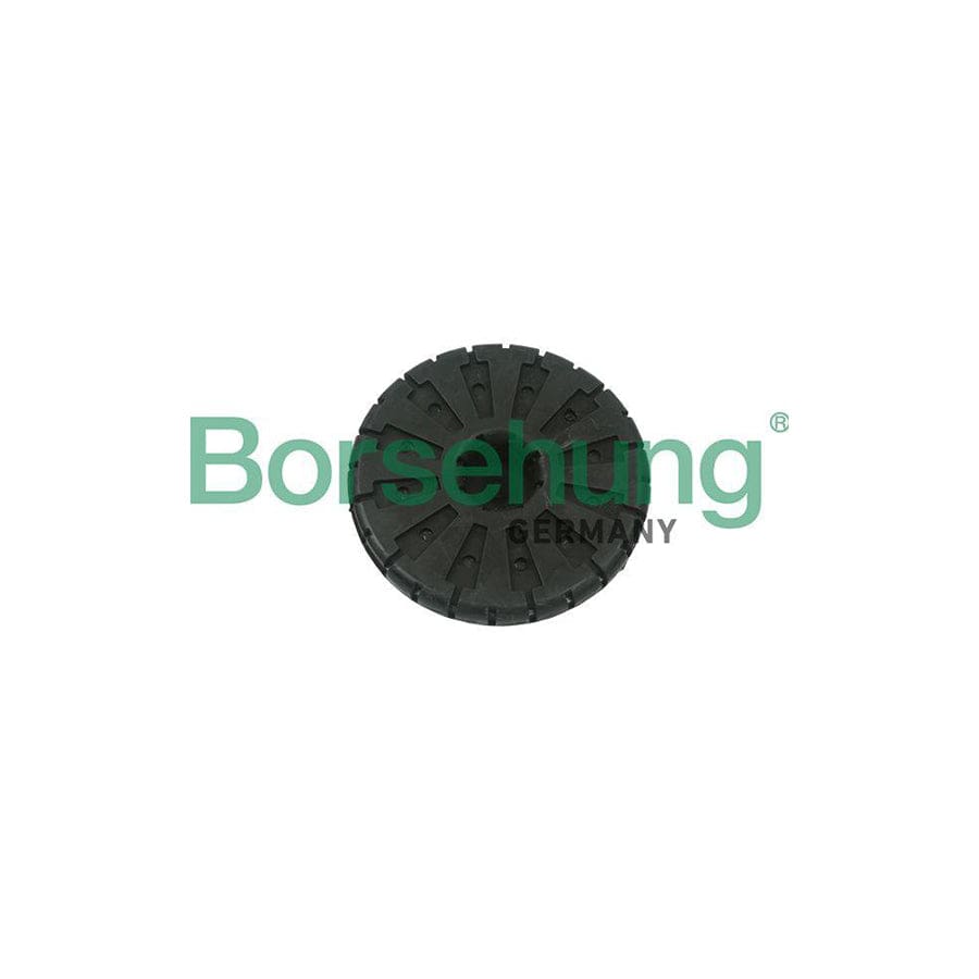 Borsehung B11366 Spring Cap