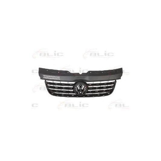 Blic 6502-07-9568995P Radiator Grille