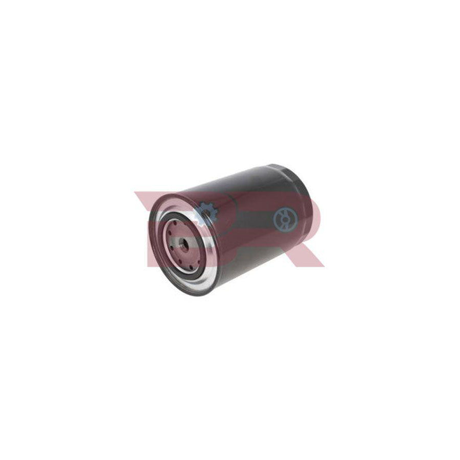 Botto Ricambi BRM4048 Fuel Filter For