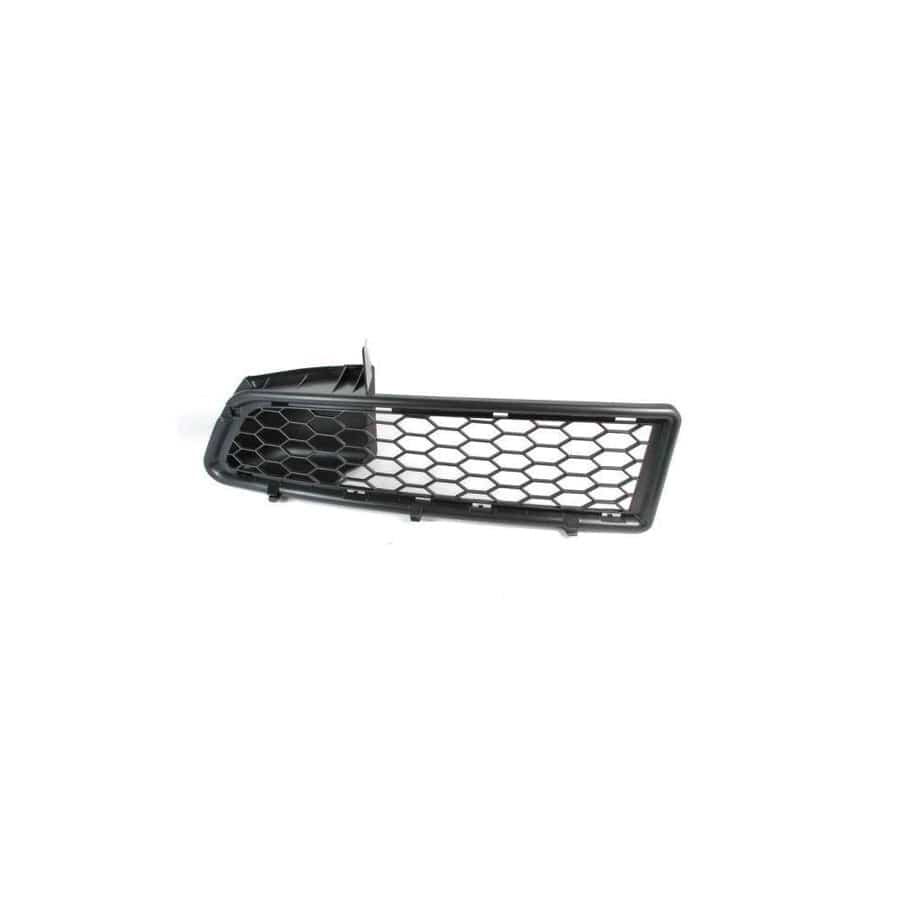 Blic 6502-07-1301991P Bumper Grill