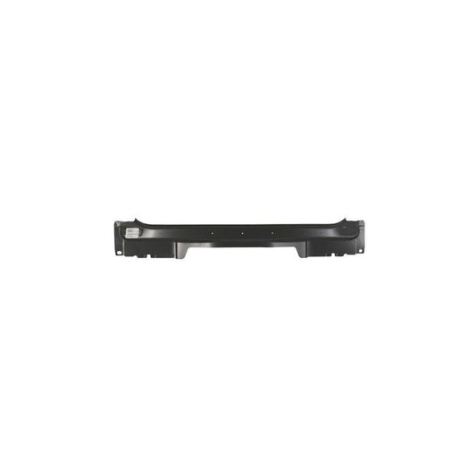 Blic 6503-05-2533650P Rear Panel For Ford Focus