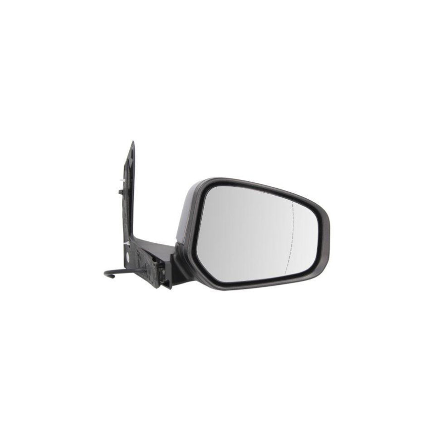 Blic 5402-03-2001266P Wing Mirror