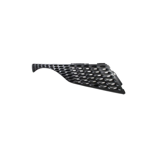 Blic 6502-07-1601992P Radiator Grille For Nissan Juke (F15)