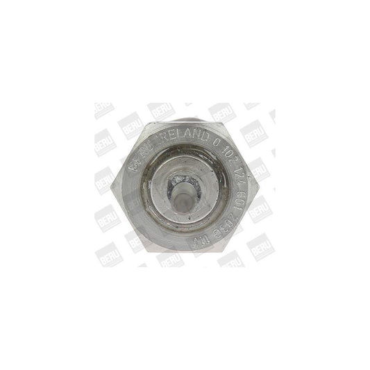 Beru 0135200069 Nozzle And Holder Assembly