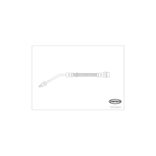 Corteco 19036601 Brake Hose For Bmw Z4 | ML Performance UK