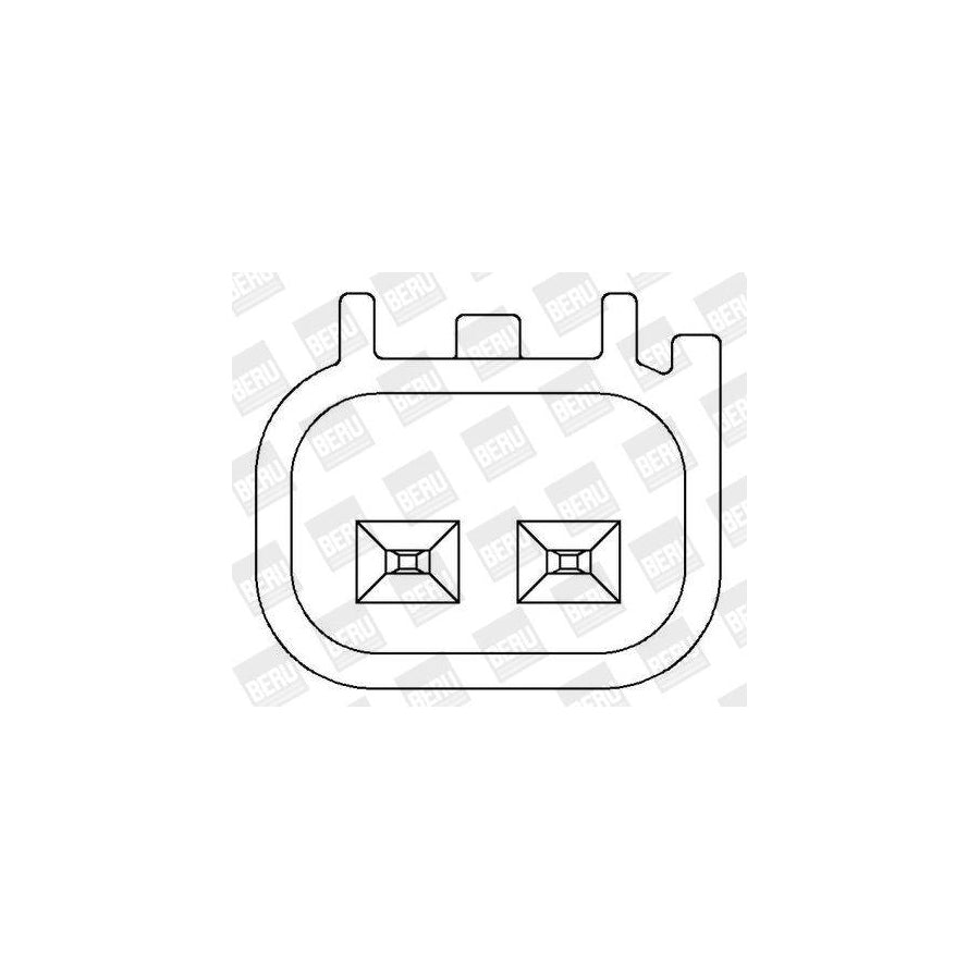 Beru ZS409 Ignition Coil