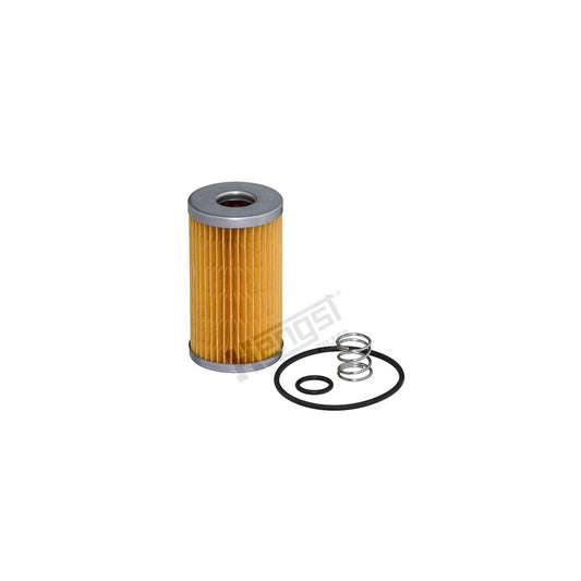 Hengst Filter E77Kp D723 Fuel Filter
