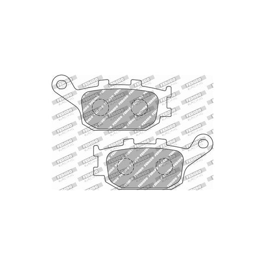 Ferodo Racing FDB754EF Brake Pad Set