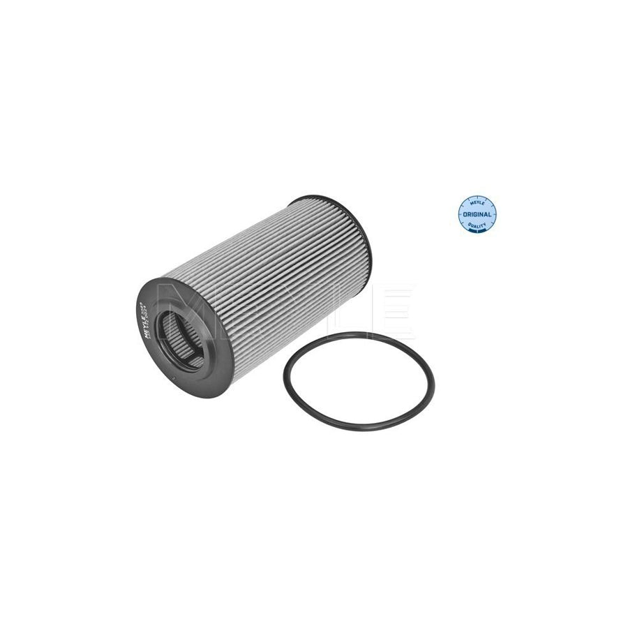 Meyle 100 322 0024 Oil Filter
