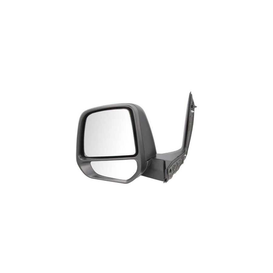 Blic 5402-03-2001325P Wing Mirror