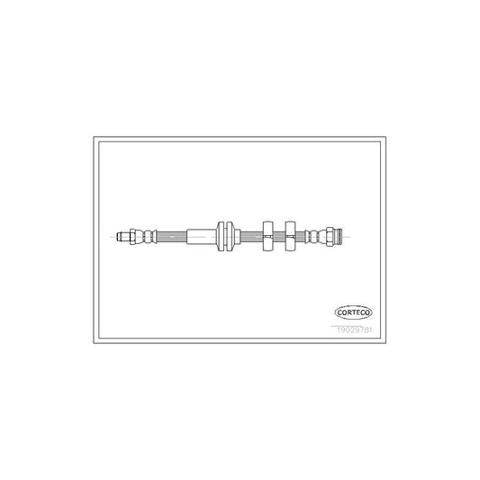 Corteco 19029781 Brake Hose | ML Performance UK