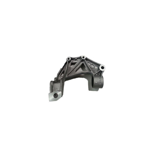 Bugiad BSP20325PROKIT Holder, Control Arm Mounting