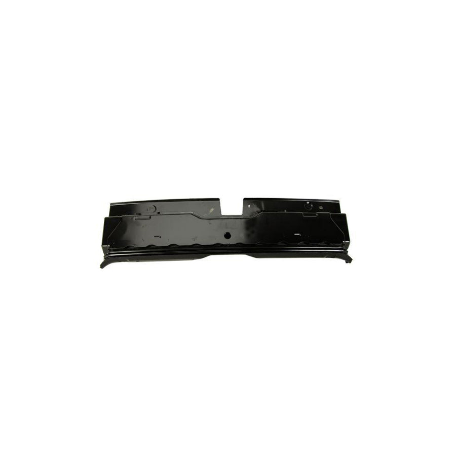 Blic 6503-05-5507650P Rear Panel For Peugeot 206