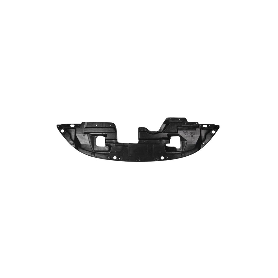 Blic 6601-02-0570880P Skid Plate