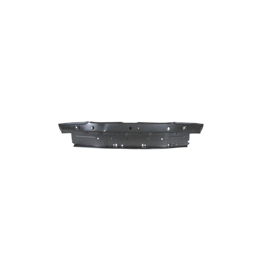 Blic 6503-05-5502650P Rear Panel For Peugeot 106