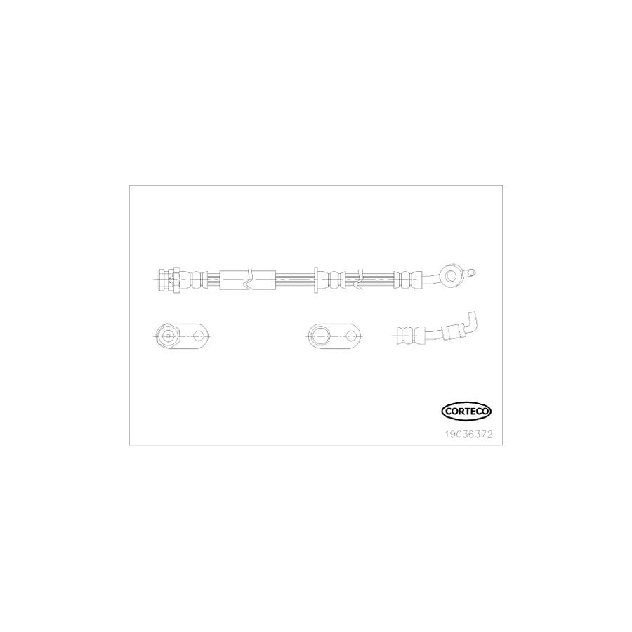 Corteco 19036372 Brake Hose For Mazda 2 Hatchback (De, Dh) | ML Performance UK