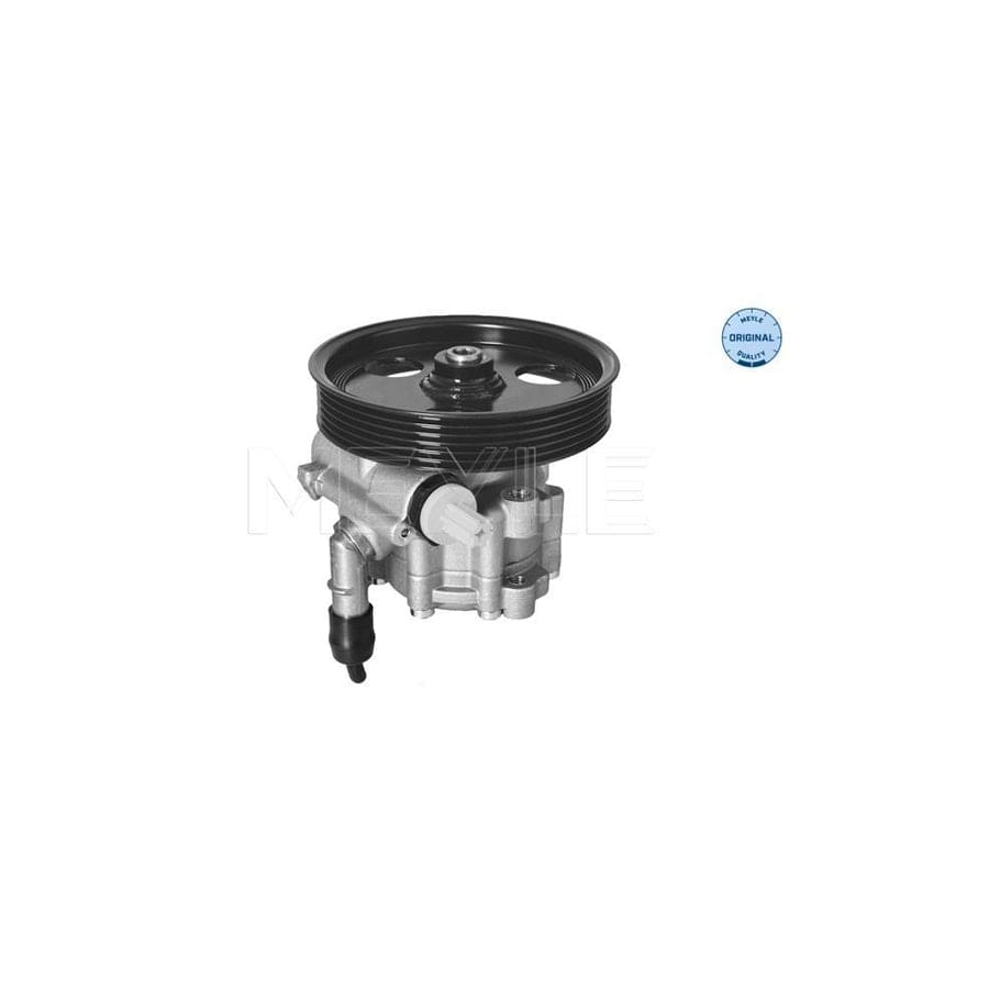 Meyle 16-14 631 0005 Power Steering Pump For Renault Duster (Hs_)
